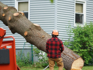 Icd 10 cm fall from tree initial encounter
